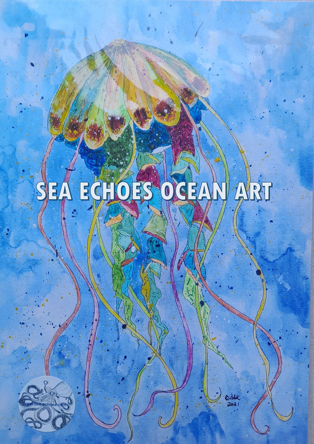 Multi-Coloured Jellyfish - A4 Print