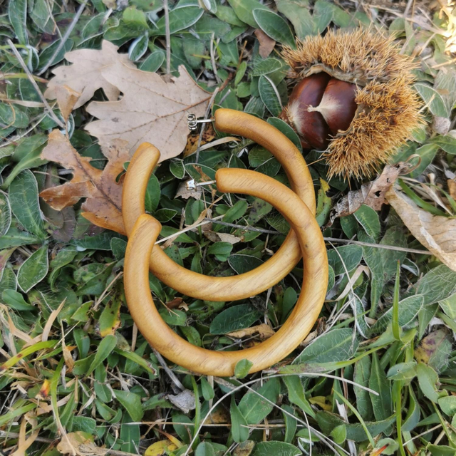 Créoles en Bois de Chataignier et Titane 