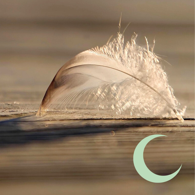 Votre couleur intérieure