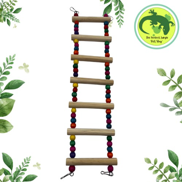 Escalera de Colores para Ave XL