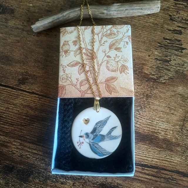 🐦 Mon Coffret aux Oiseaux ✨️