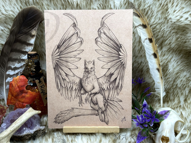 Anouen Croquis 13X18cm