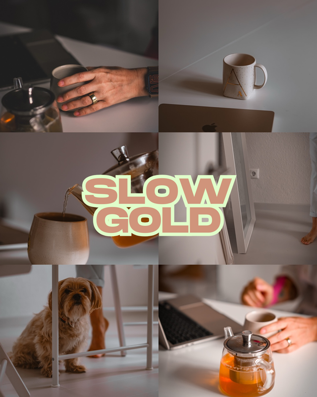 SLOW GOLD - 1 Preset (6 Styles) – Mein Look für deine Fotos
