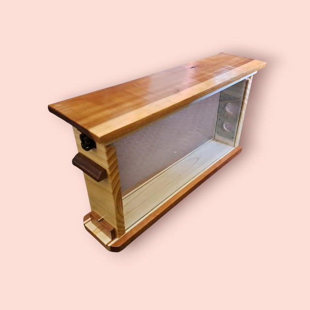 COLMENA OBSERVACION 2M