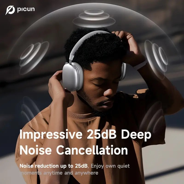 Picun Hybrid ANC Wireless Headphones