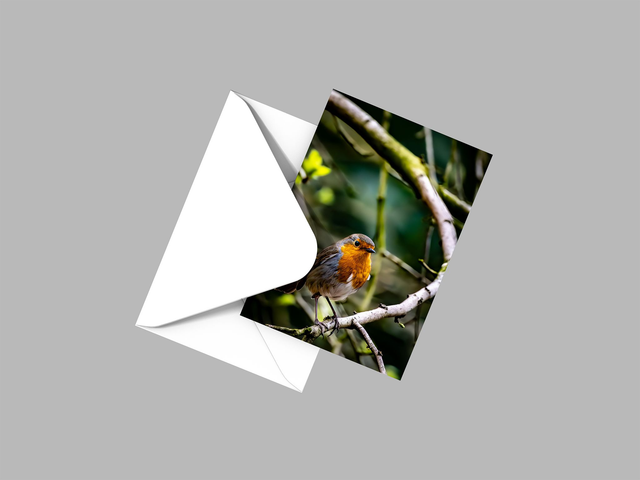 Perched, North Yorkshire