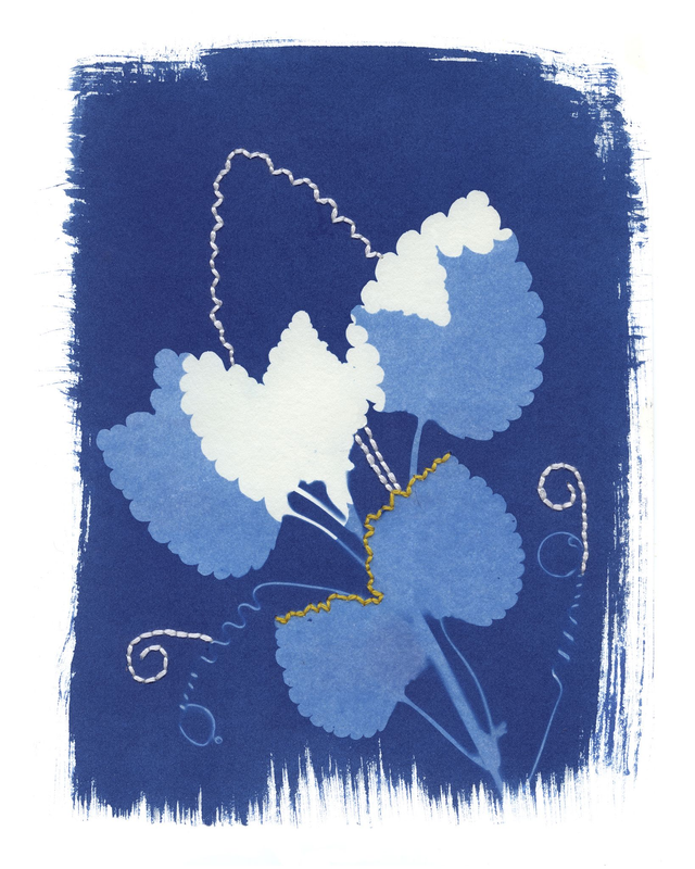 Deadnettle Cyanotype with hand stitching - 10 x 8 inches