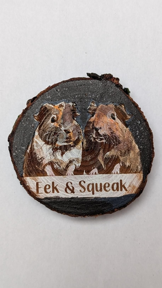 Guinea Pigs - Eek & Squeak