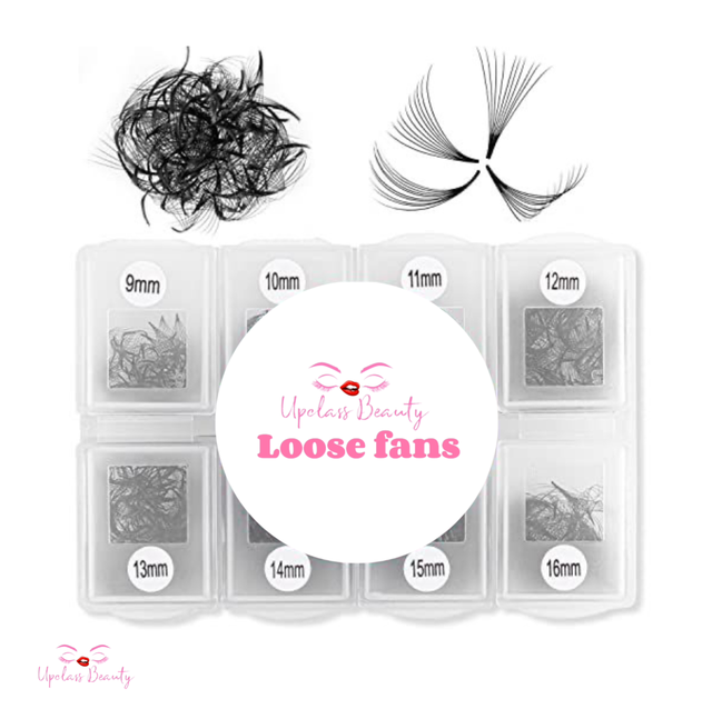 Bouquet préfet ( Loose fans )