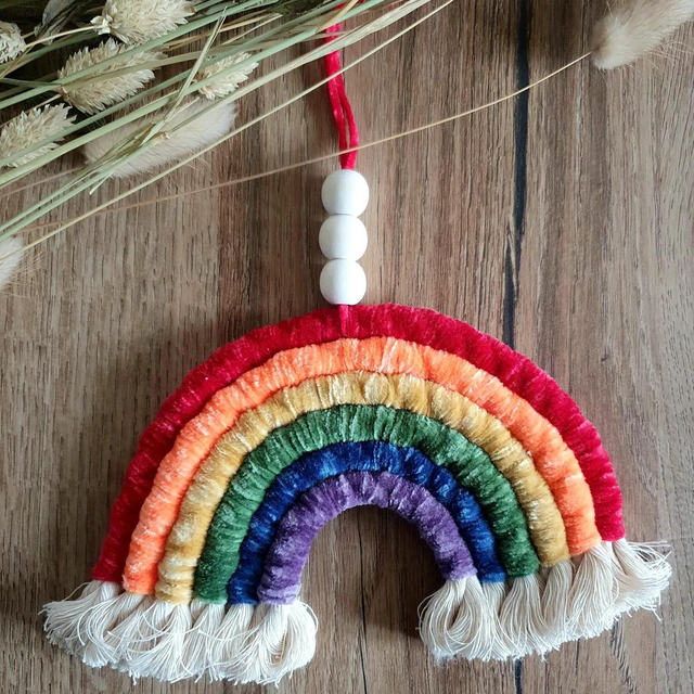 Arc en ciel velours LGBTQIA ( taille M )