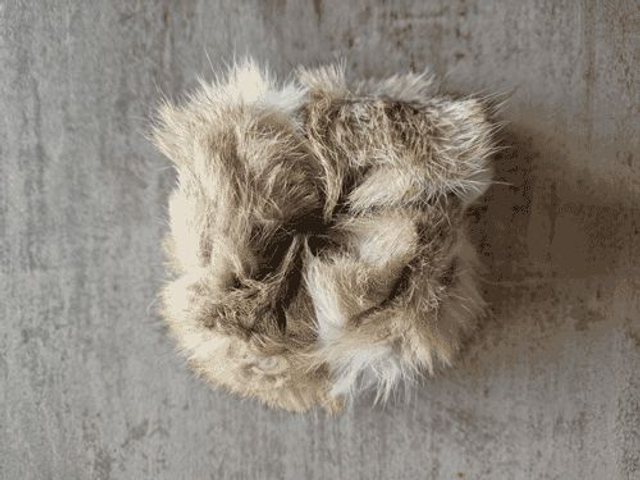 Fell-Rabbit „Cover“