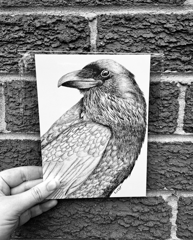 Raven Mini Print
