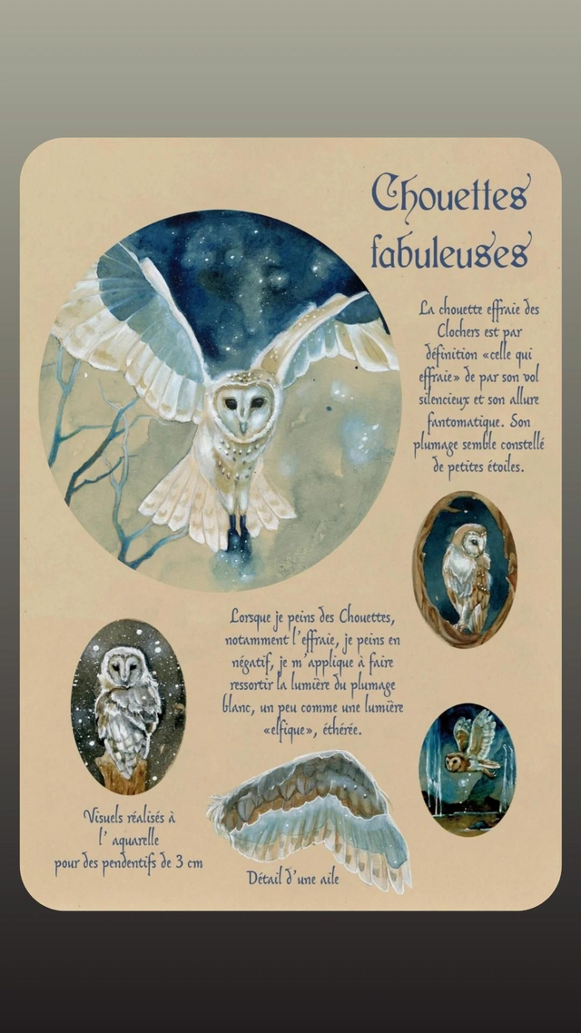 Chouettes fabuleuses fiche à thème féerique