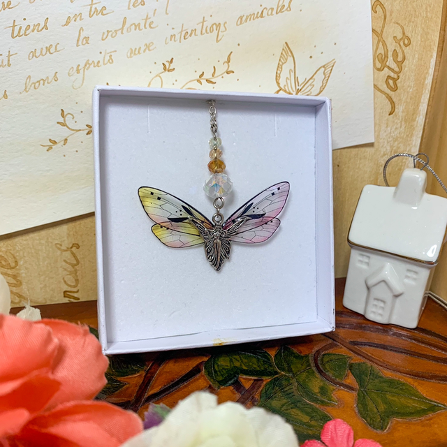 Attrape Soleil - Fairy Springtime Bicolore