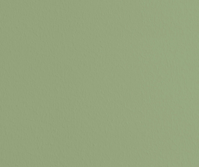 1_YTTP Matcha Green Pilates Grip Socks