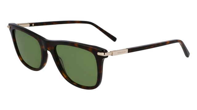 Eyewear Man Salvatore Ferragamo  SF2028S 242