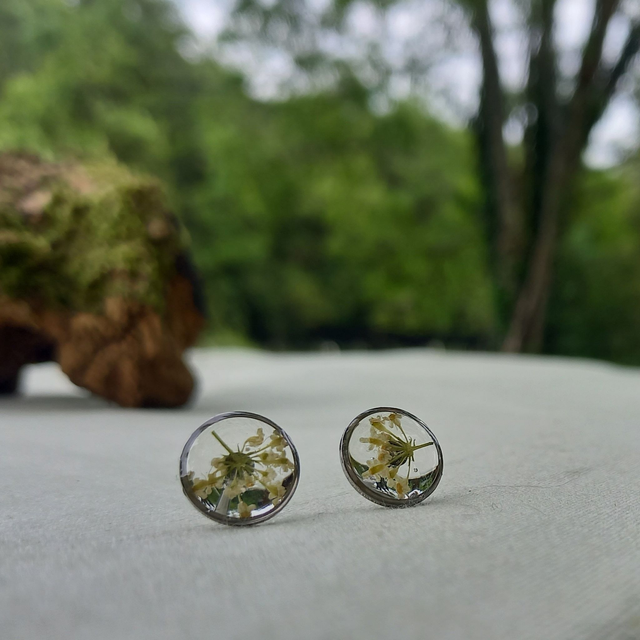 Puces d'oreilles ∙ argenté ∙ Daucus