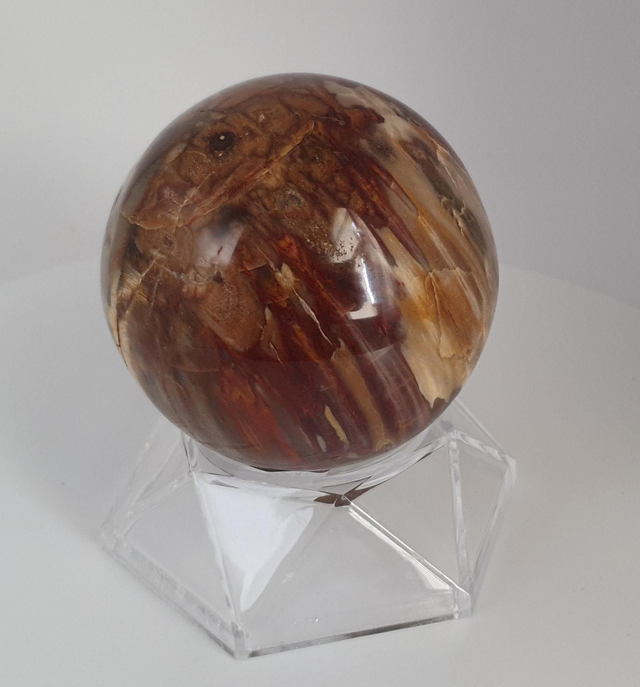 Sphère en Bois Fossilisé de Madagascar-60-70mm