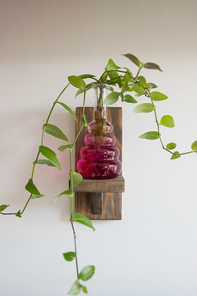 Mini étagère à bouture 🪴