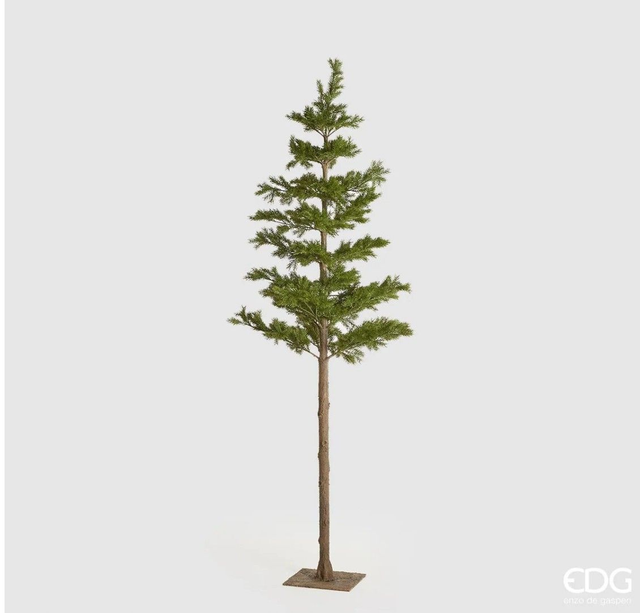EDG Enzo De Gasperi Pino West Tronco Lungo H216 cm con Base in Metallo