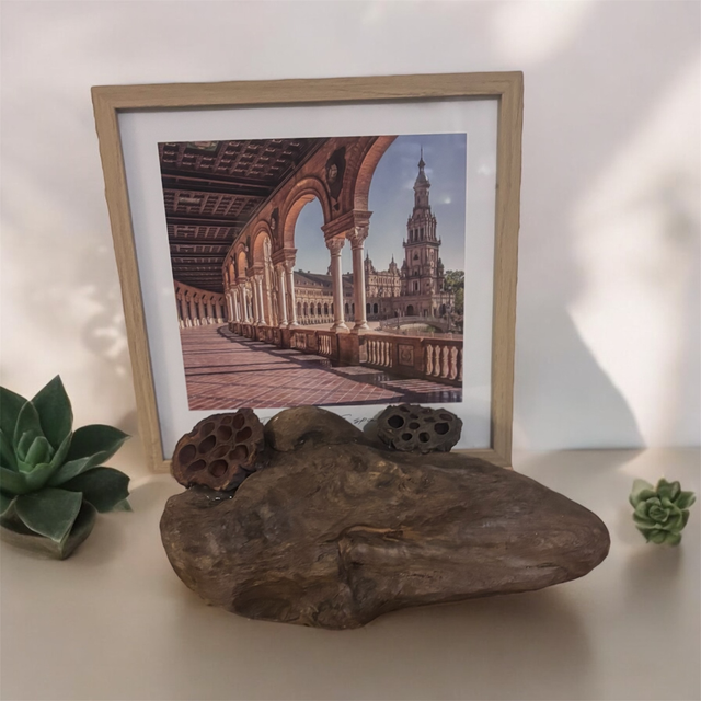 Porte photo bois flotté 