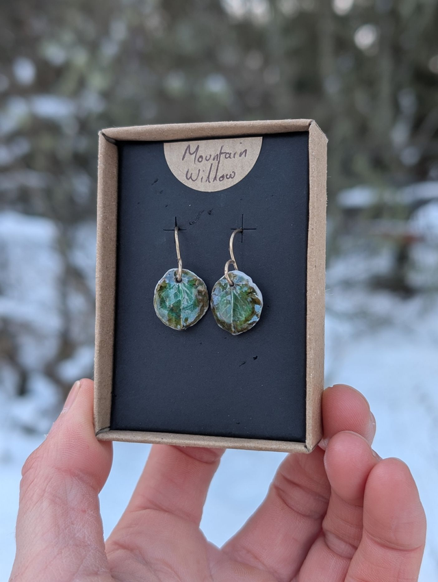 Dwarf Willow Raku Earrings