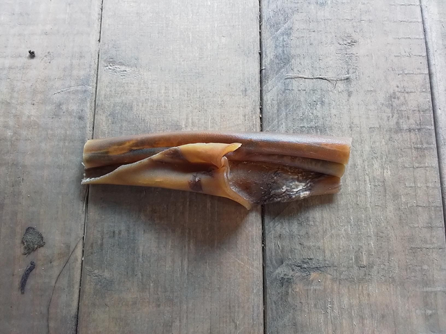 Paarden kophuid zonder haar