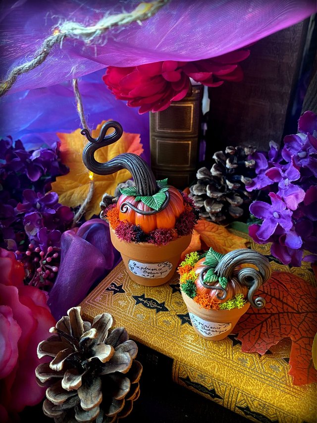 Expériences botaniques