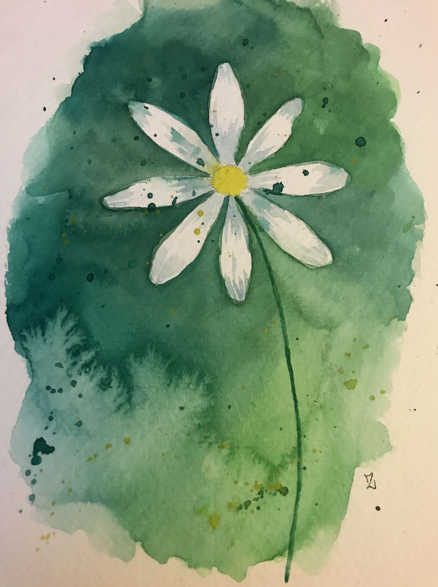 Marguerite A5 