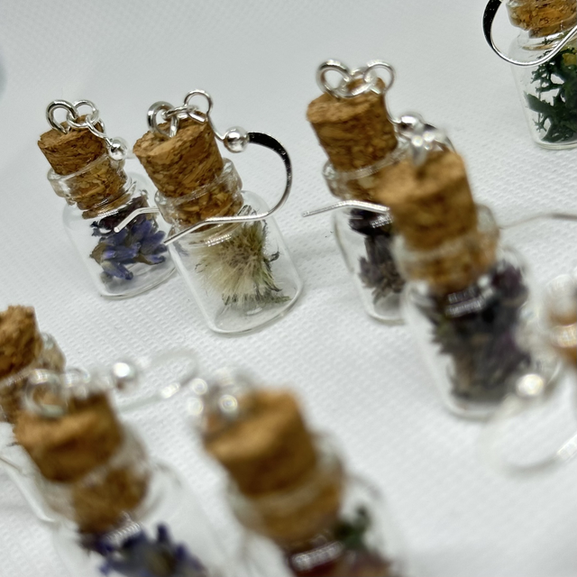 Glass Bottle Terrarium Earrings
