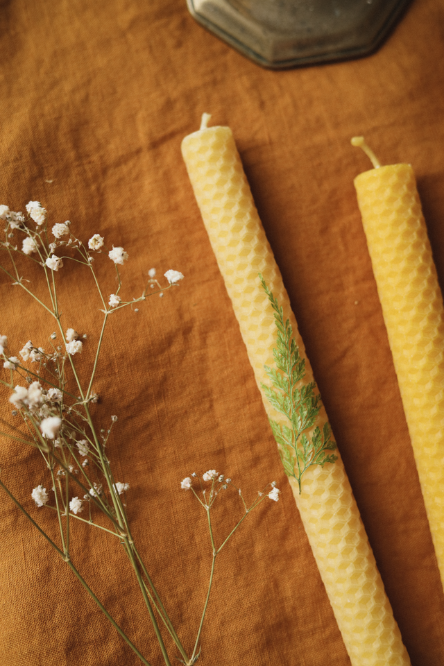 Chandelle empreinte végétale