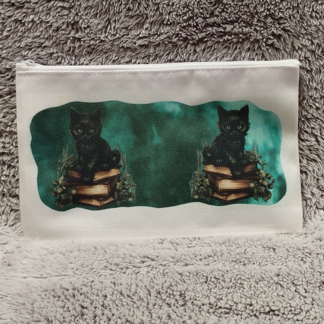 Chat sur livres (fumée turquoise)