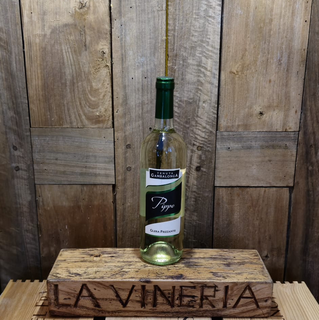 Pippo Frizzante Colli Euganei Tenuta Gambalonga Vol. 11.5% cl75