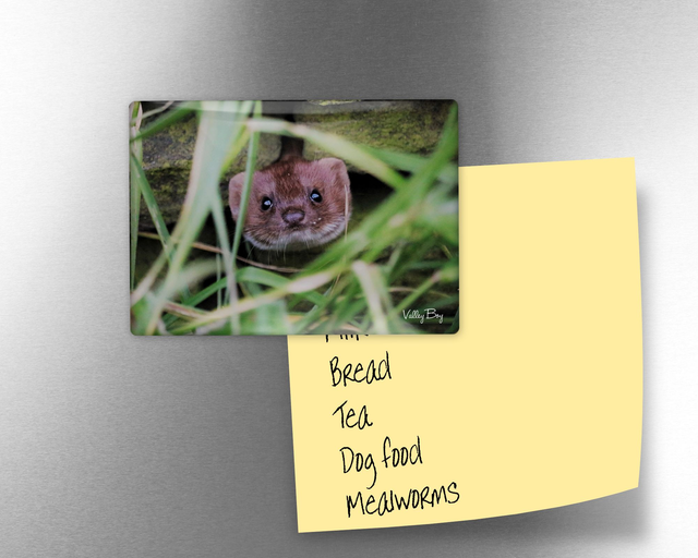 "Pop Goes the Weasel" Fridge Magnet  