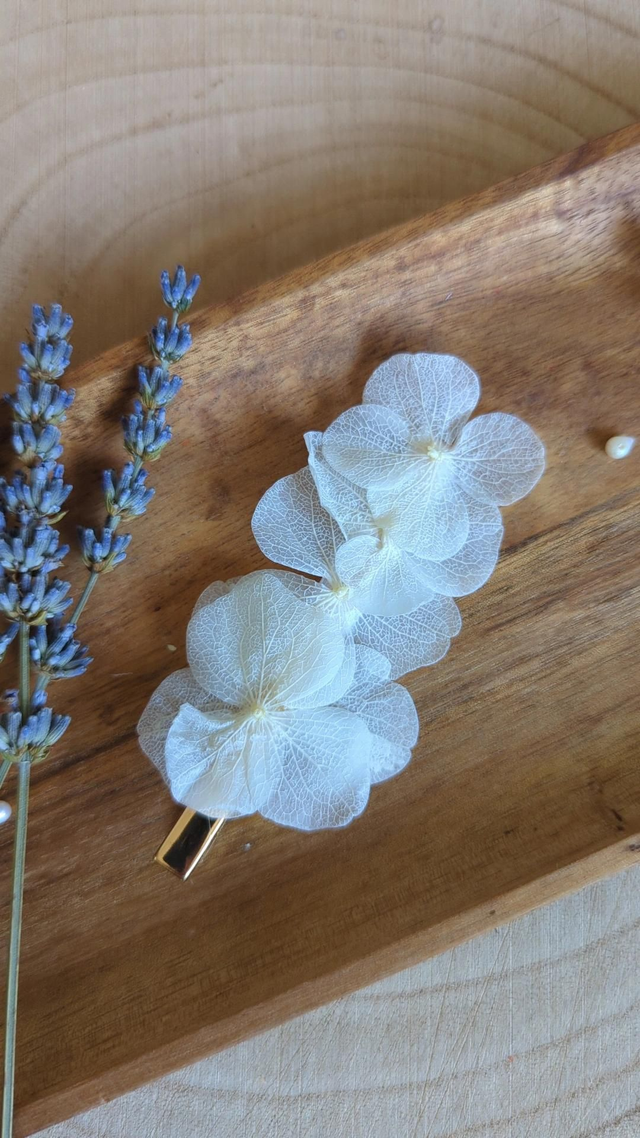 Barrette croco - Cotton Bloom