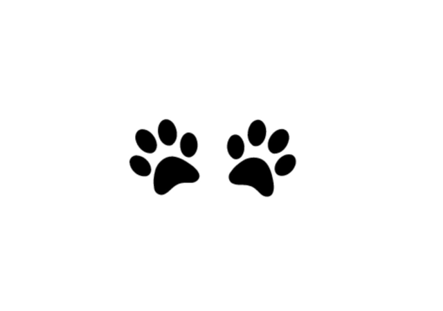Paw Balm