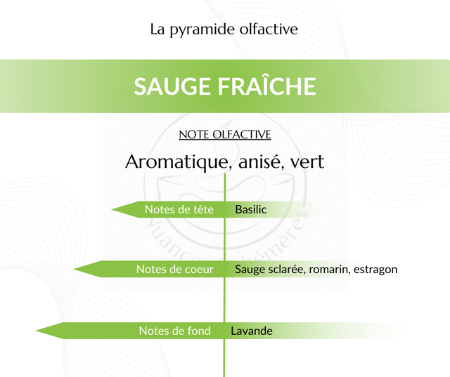 Sauge fraîche - Fondant parfumé