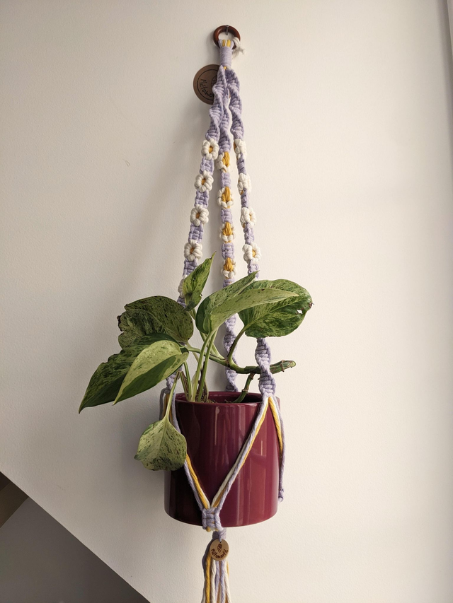 Porte-plante Freesia M