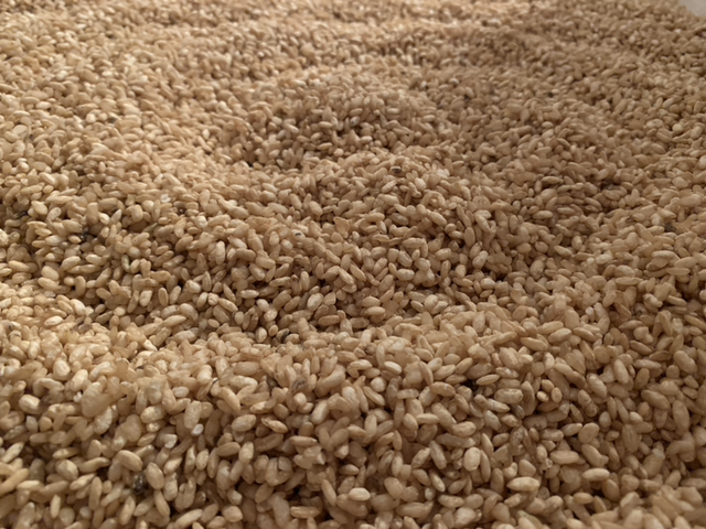 Koji de Riz Camargue Bio demi-complet  200g