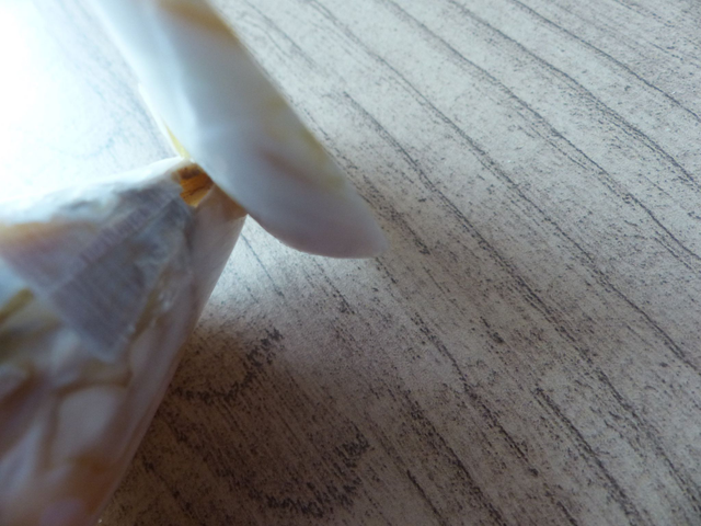 Vide-poche hibou en coquillage et nacre – sculpture artisanale française vintage – déco bord de mer - souvenir fait main marin et poétique