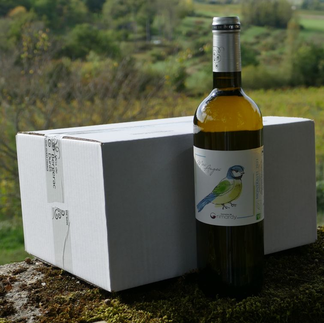Carton 6 bouteilles "Mes Anges" Montravel Blanc Sec 2024