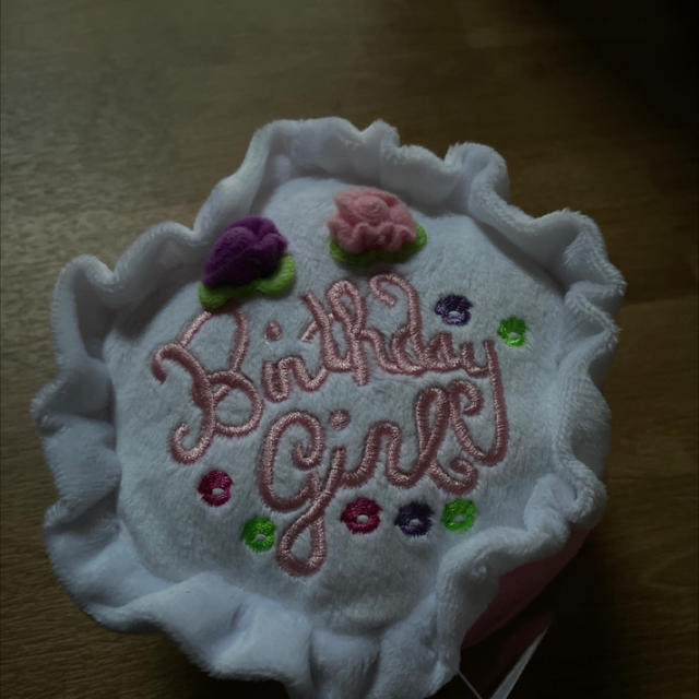 Birthday girl cake dog toy