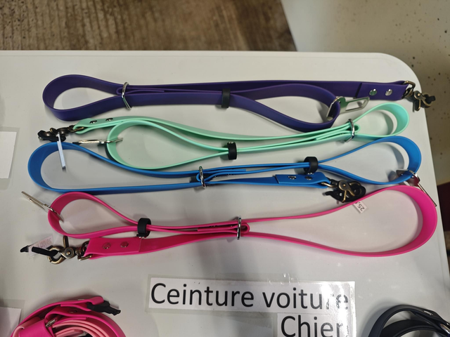 Ceinture biothane voiture chien Réglable
