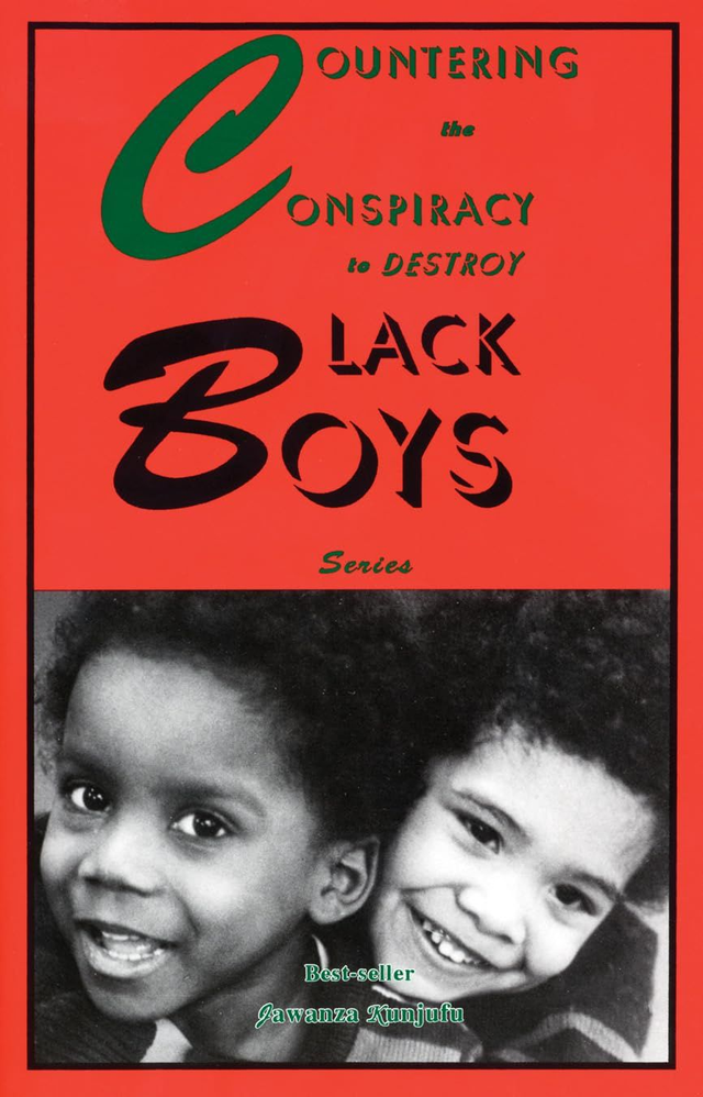 Countering the Conspiracy to Destroy Black Boys: Series