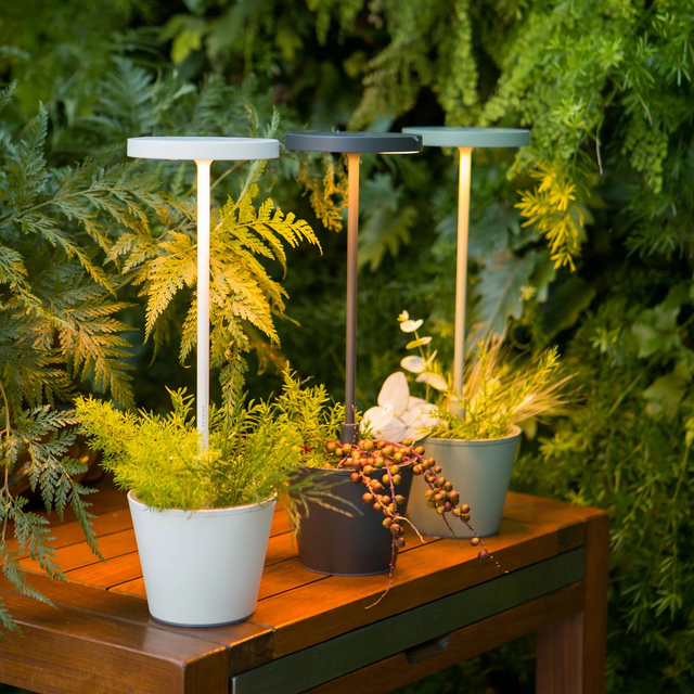 Zafferano Poldina Reverso Lampe de table 