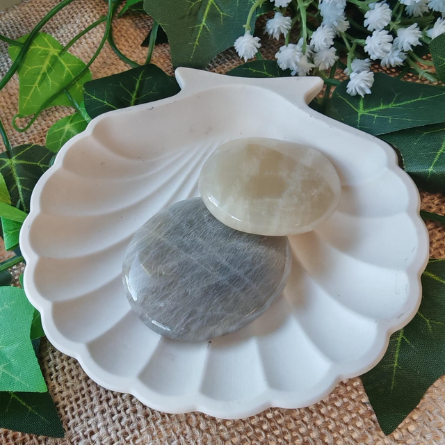 pierre plate pierre de lune grise 30 à 50mm