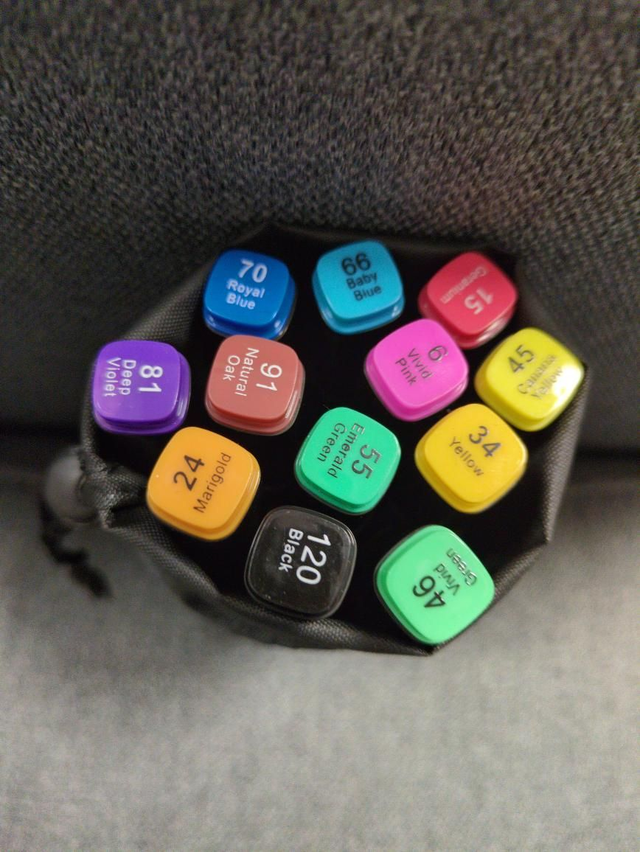 Feutres x 12 couleurs manga