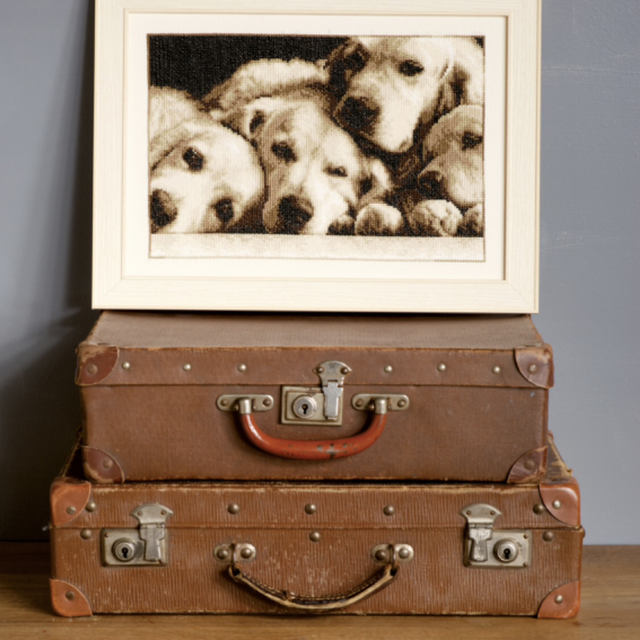 Labradors Counted Cross Stitch by Vervaco.