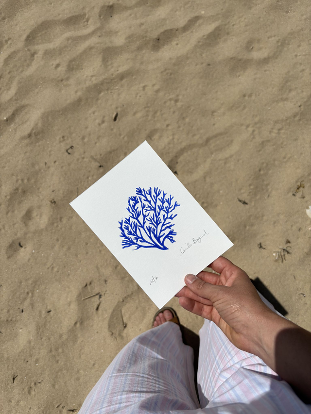 Le corail &quot;mini&quot;