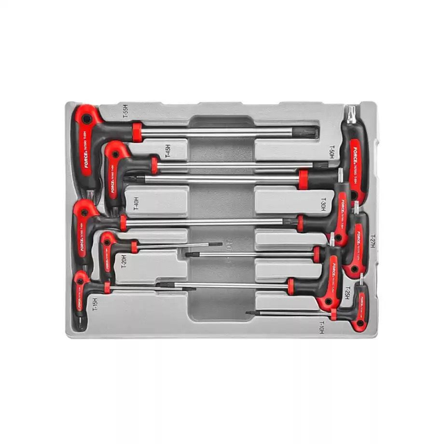 10 tlg torx T-griff set Im modul force 
